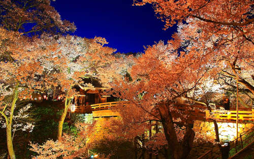 高遠公園